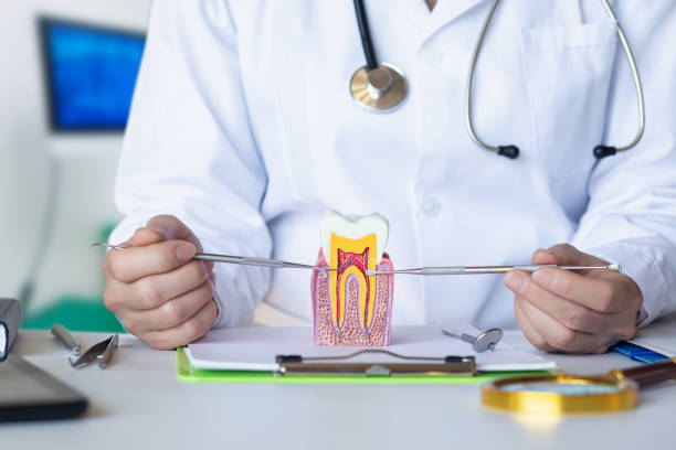Best Emergency Dental Care for Trauma or Injury in Walnut Ridge, AR
